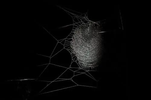 Darknet-Monitoring: Ein unverzichtbares Werkzeug im Kampf gegen Cyberbedrohungen
