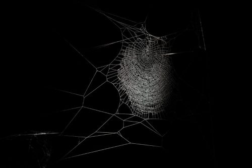 blacklens.io: Wir schützen Sie vor Angriffen aus dem Darkweb.